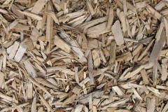 biomass boilers Kinknockie